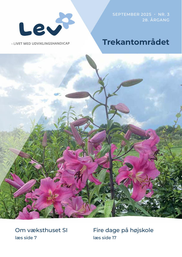Forside bladet Lev i Trekantområdet 3 2025